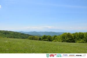 DSC 0405